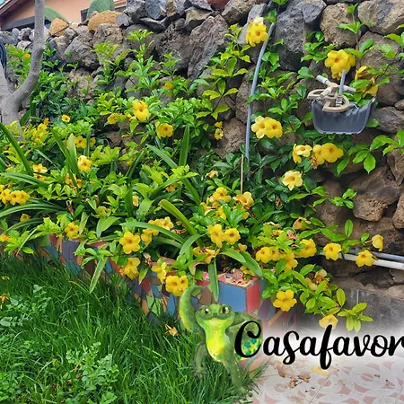 Casafavorita - Meer- Und Teideblick Fuer Zwei